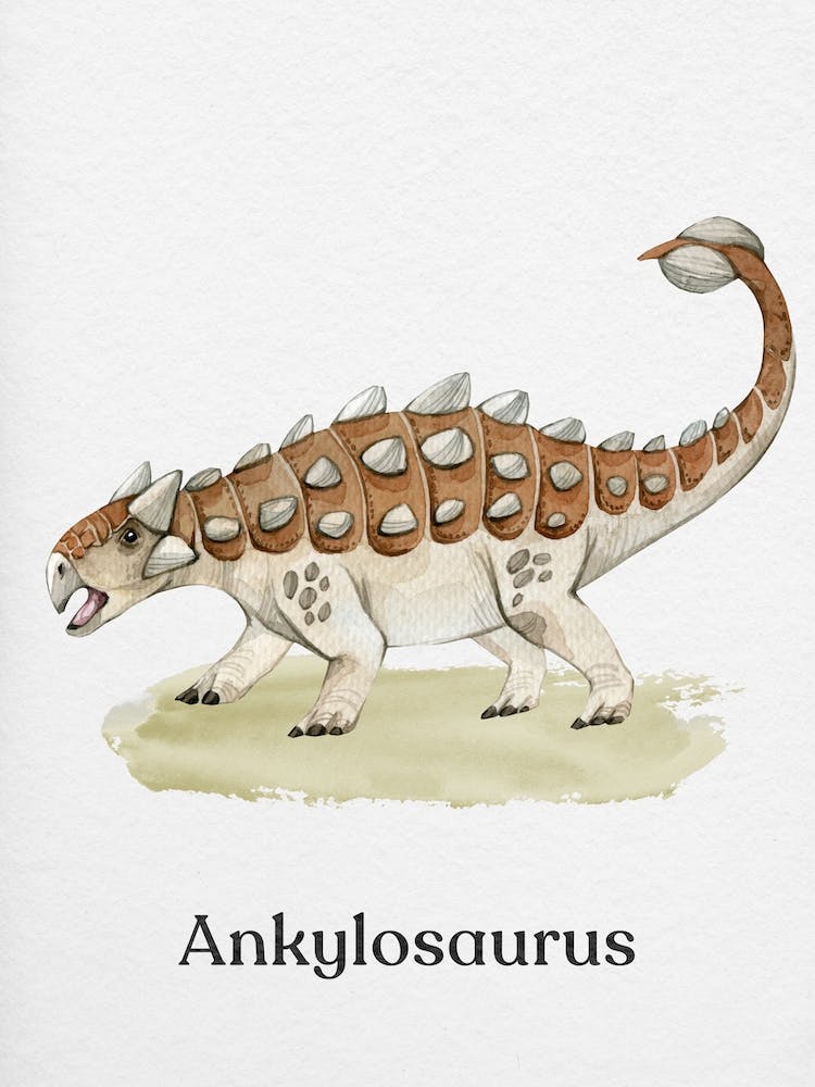 Ankylosaurus