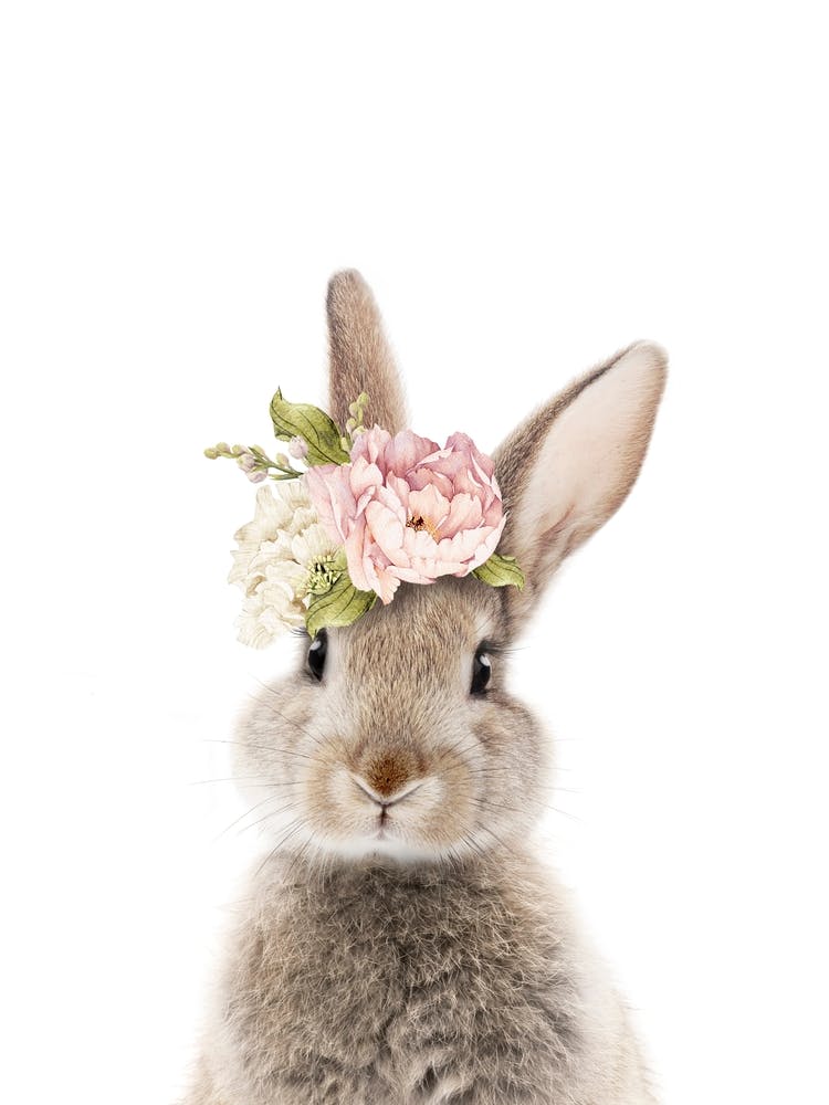 Peekaboo Floral Bunny