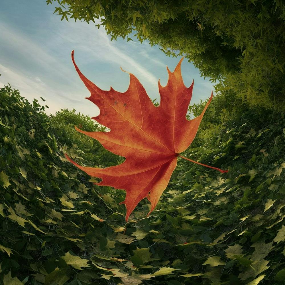 A Stunning High-Resolution Photo of a Vibrant Red Leaf