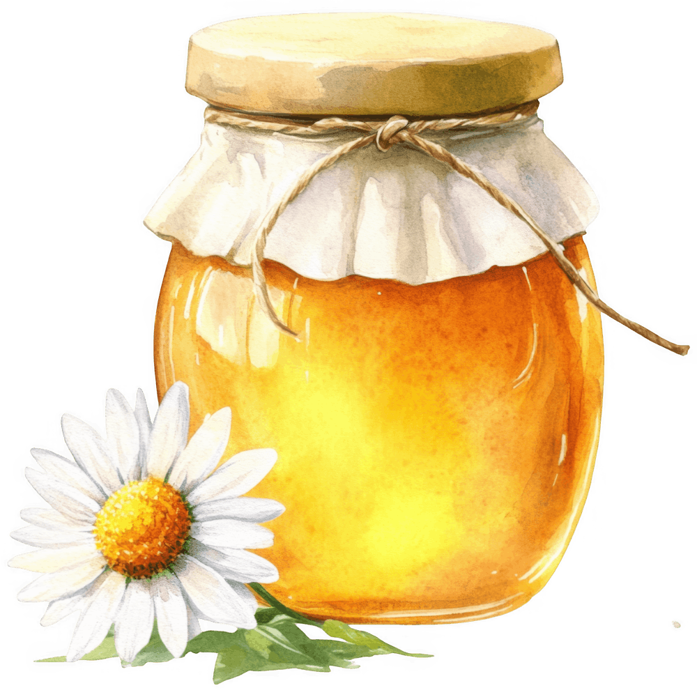 Daisy Flower 8