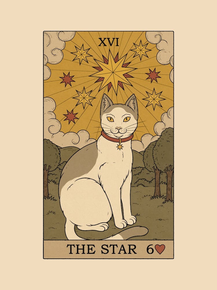 The Star Cat