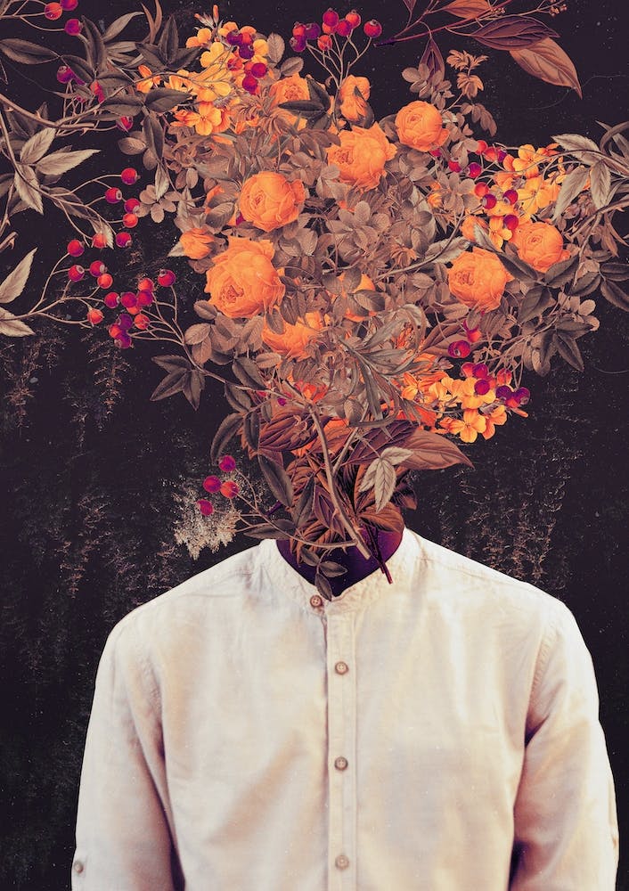 Bloom