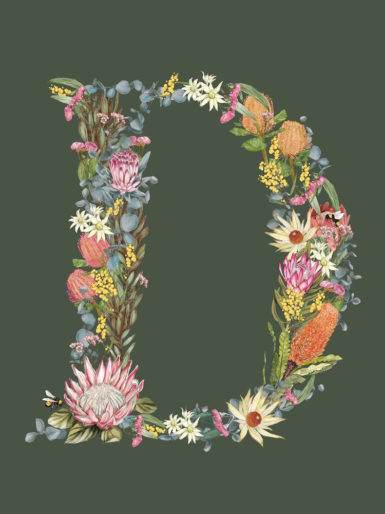 D Olive Alphabet Letter