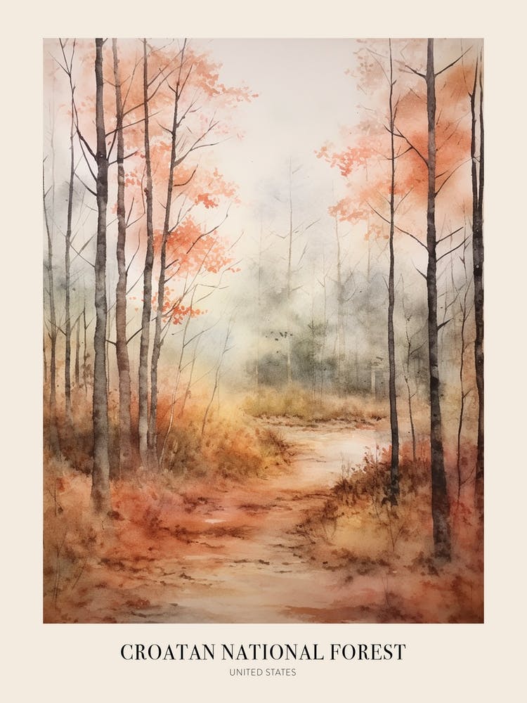 Autumn Forest Landscape Croatan National Forest 2 Poster