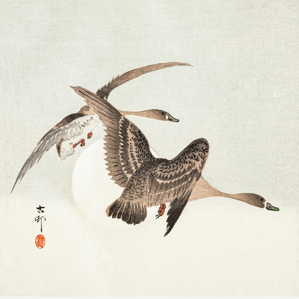 Geese And Full Moon, Ohara Koson