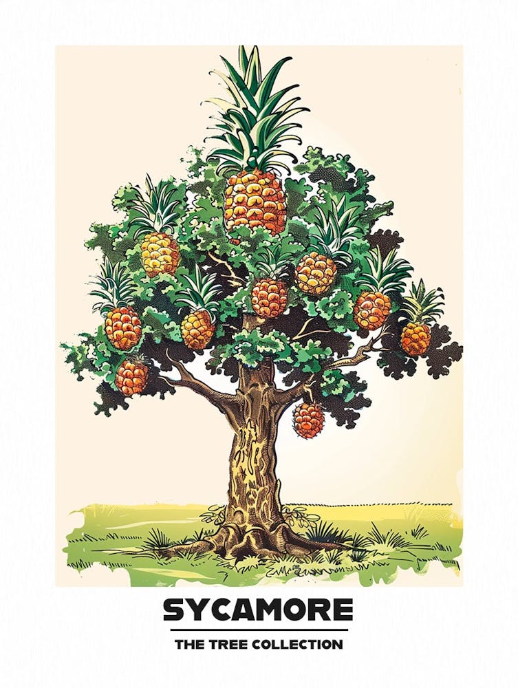 Sycamore Tree Storybook Illustration 3 Poster