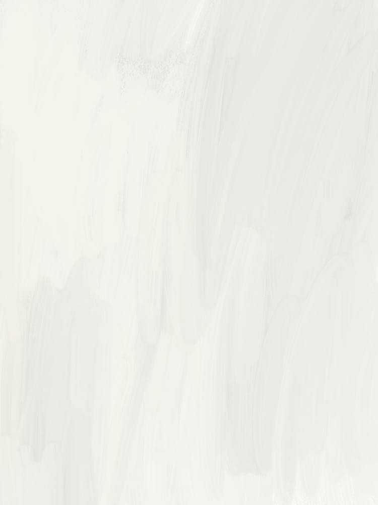 White On A White Background