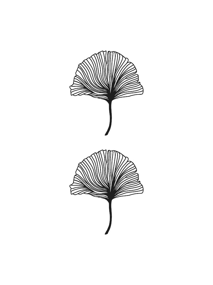Leaf Set Linear Drawing