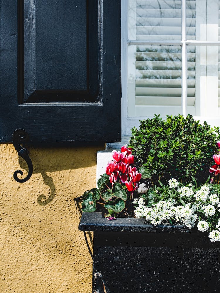 Flower Box III