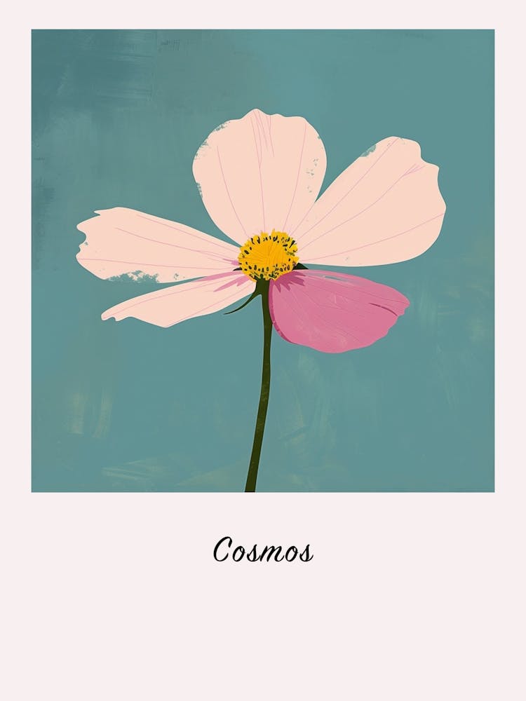 Cosmos 1 Square Flower Illustration Poster
