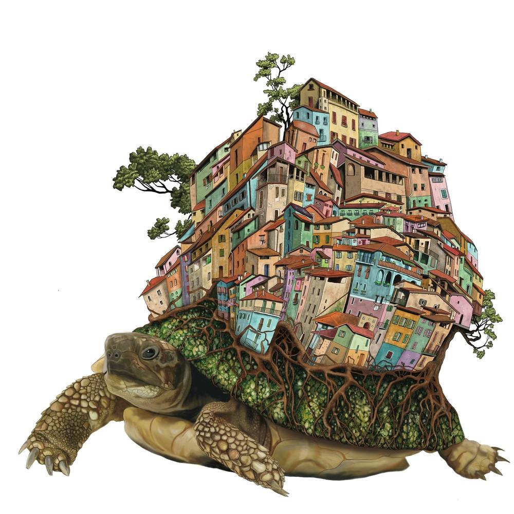 Turtle village