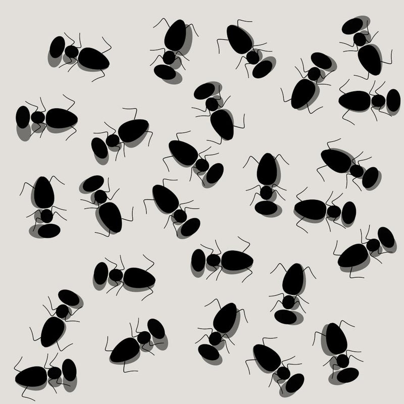 Ants pattern