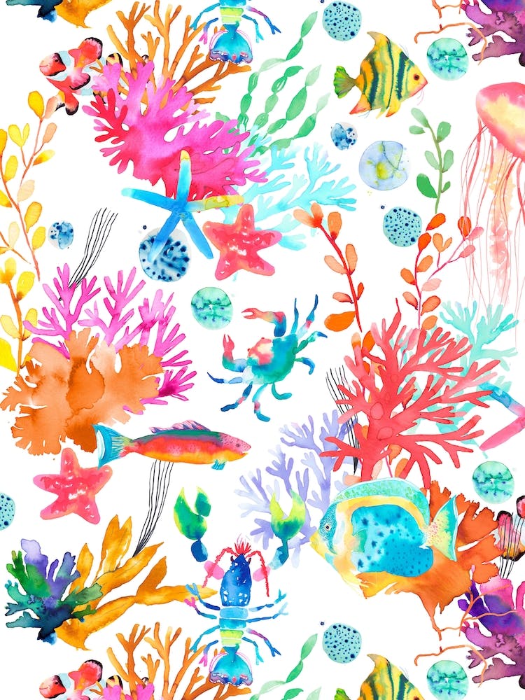Marine Sea Animals
