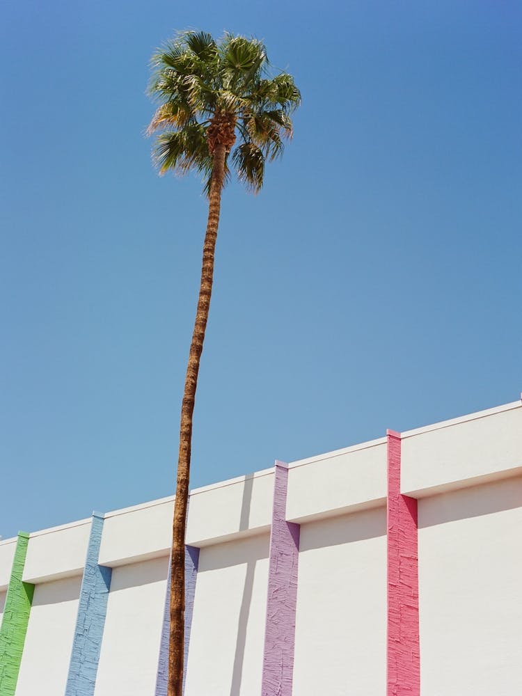 Palm Springs II on Film