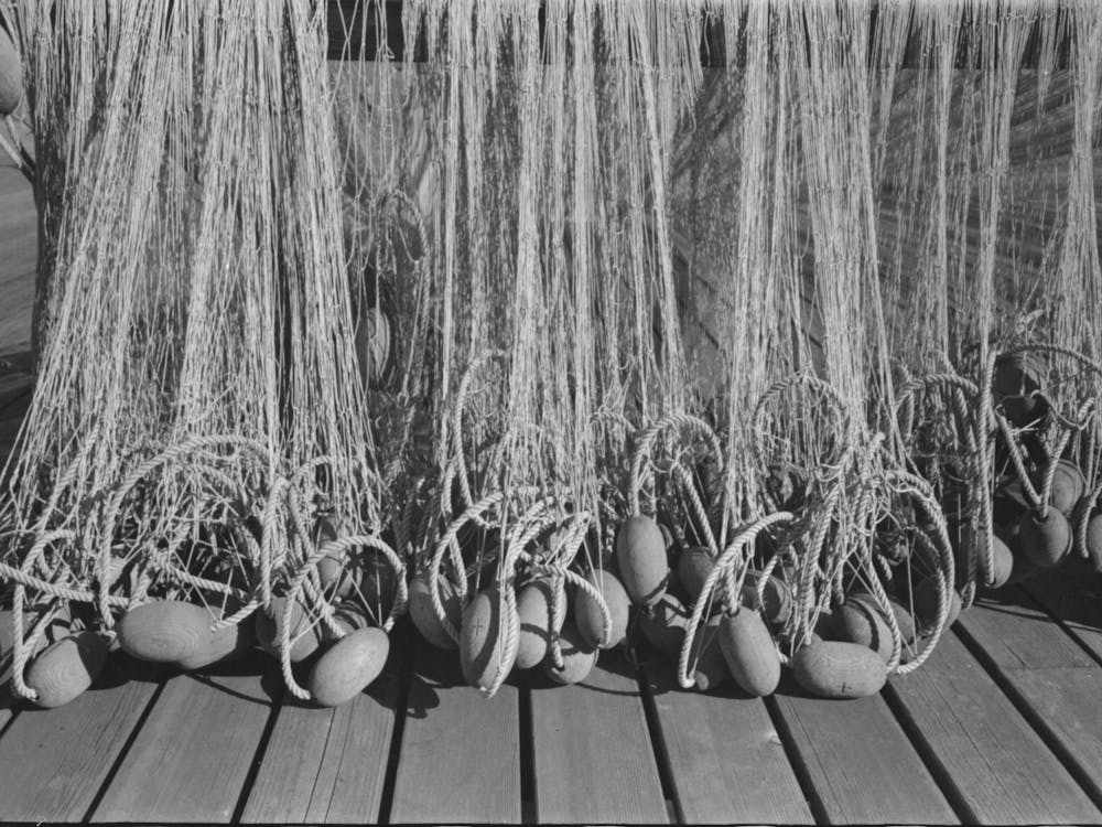 Nets With Floats, Astoria, Oregon By Russell Lee