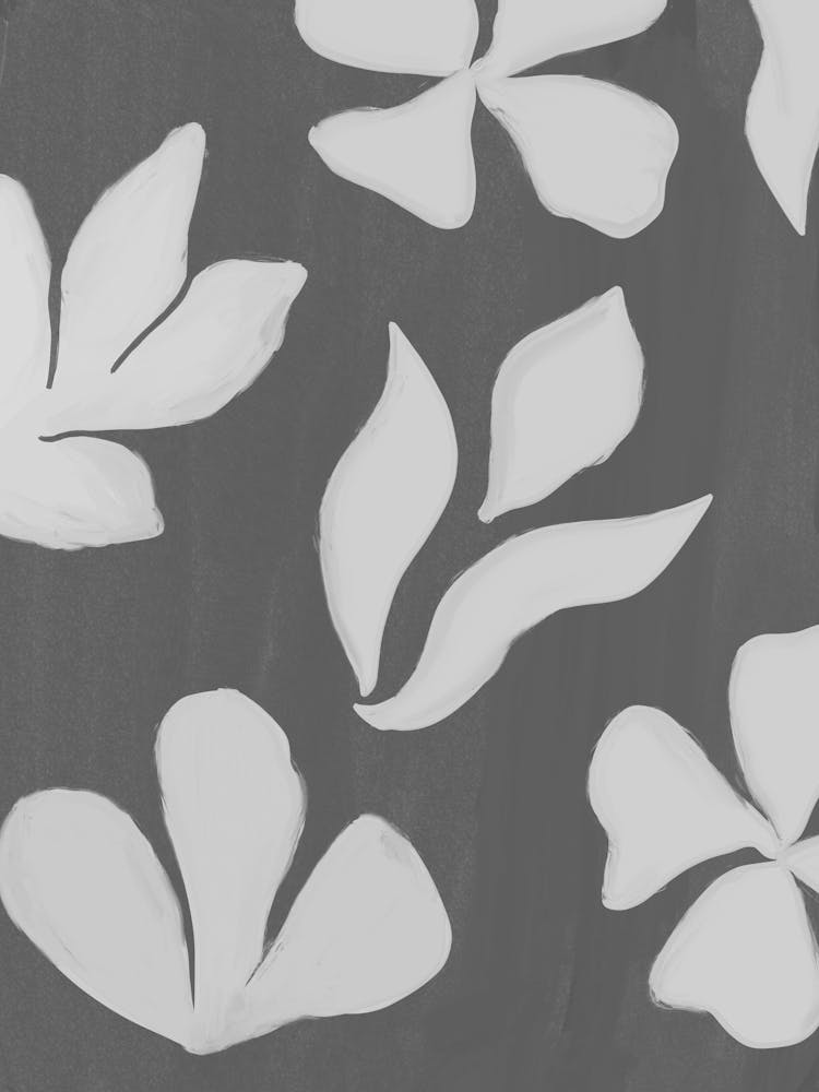 White Flowers On A Black Background