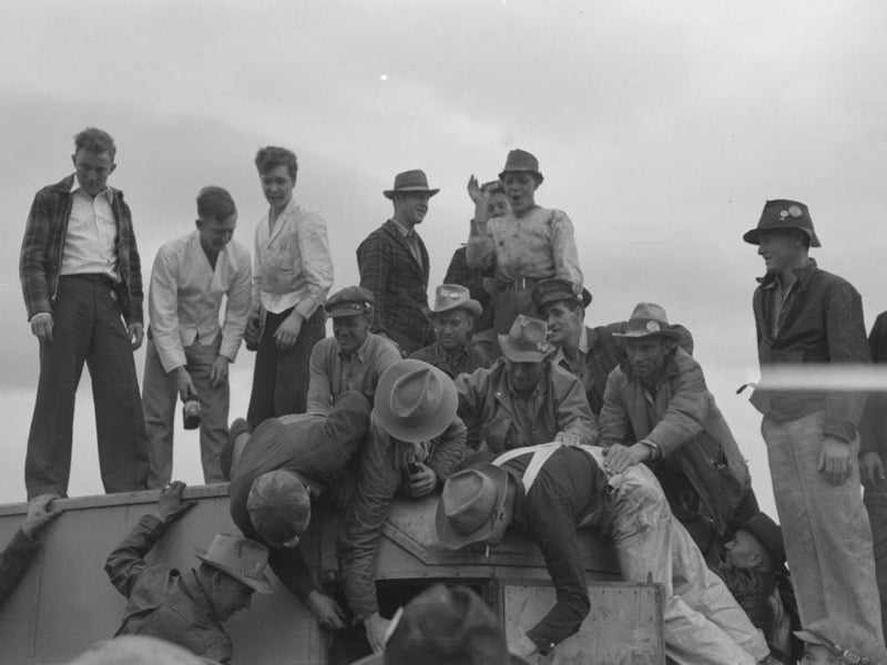Untitled Photo, Possibly Related To Beer Party Given By Contractor At The Umatilla Ordnance Depot For Employees