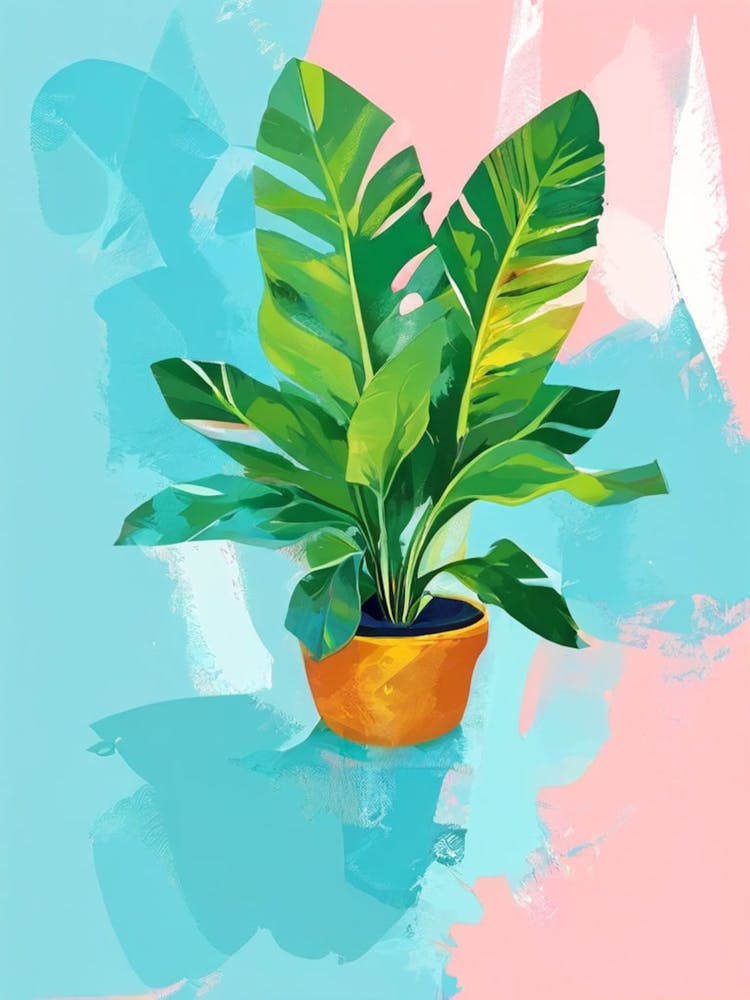 Tropical Plant In A Pot