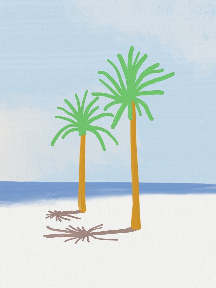 Palm Trees shadow On The Beach