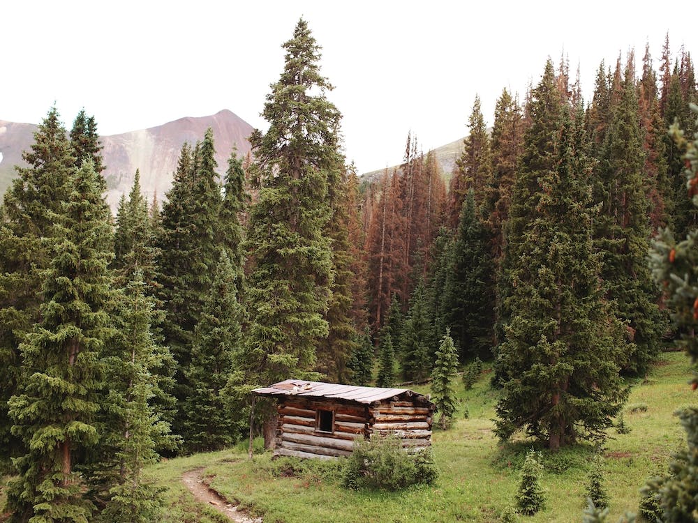 Little Cabin In The Woods
