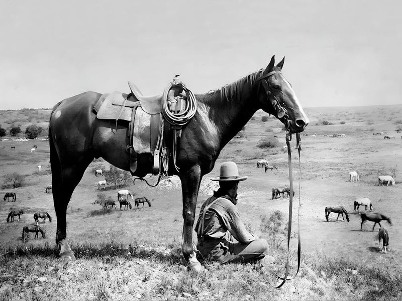 Cowboy And His Horse, Black and White, Western Art, Vintage Old Photo