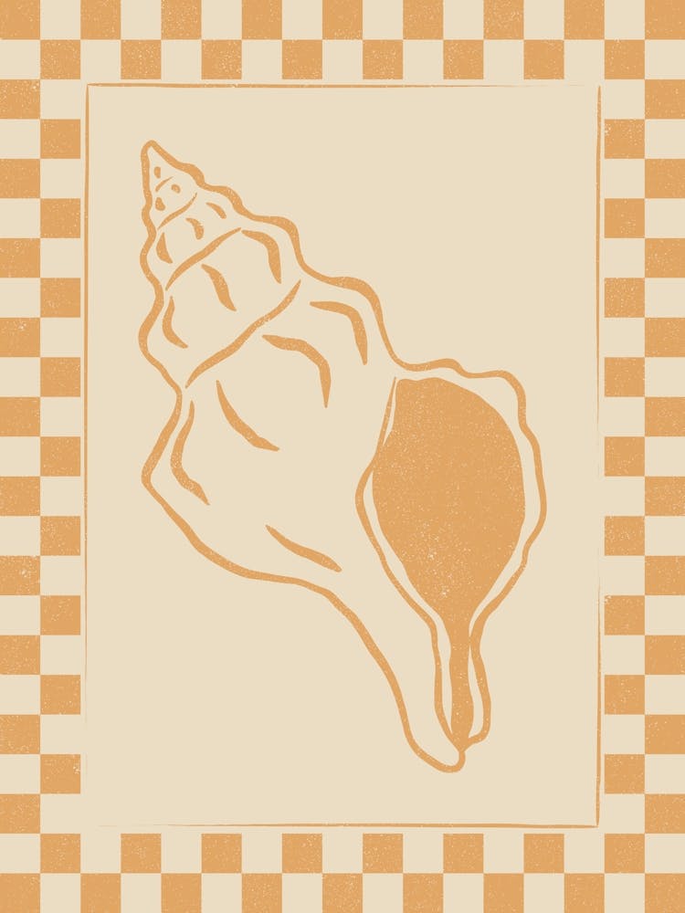 Seashell 01 with Checkered Border