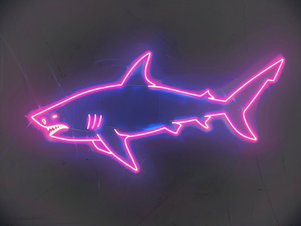Neon Magenta Angel Shark 1