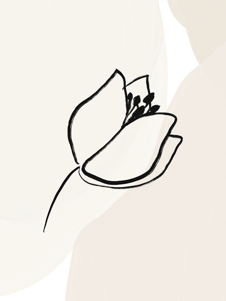 Tulip 6