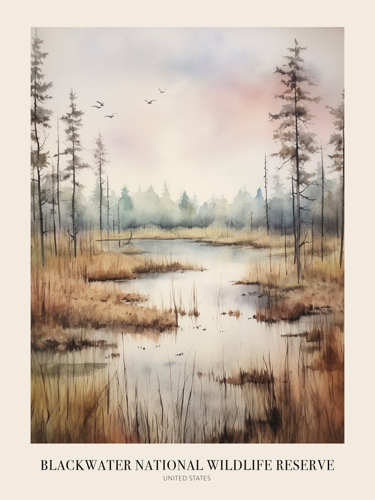 Autumn Forest Landscape Blackwater National Wildlife Reserve Poster