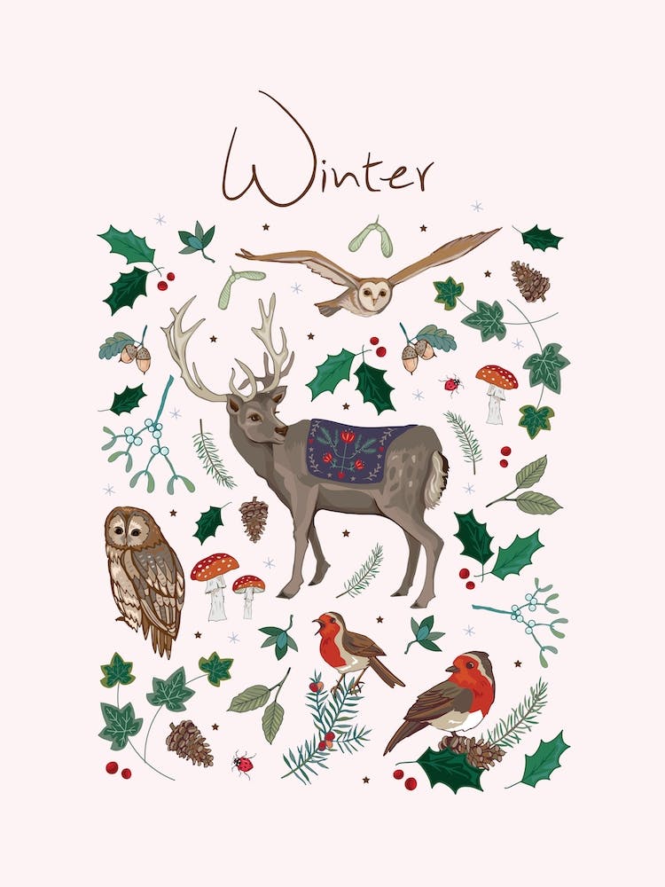 Winter Wildlife