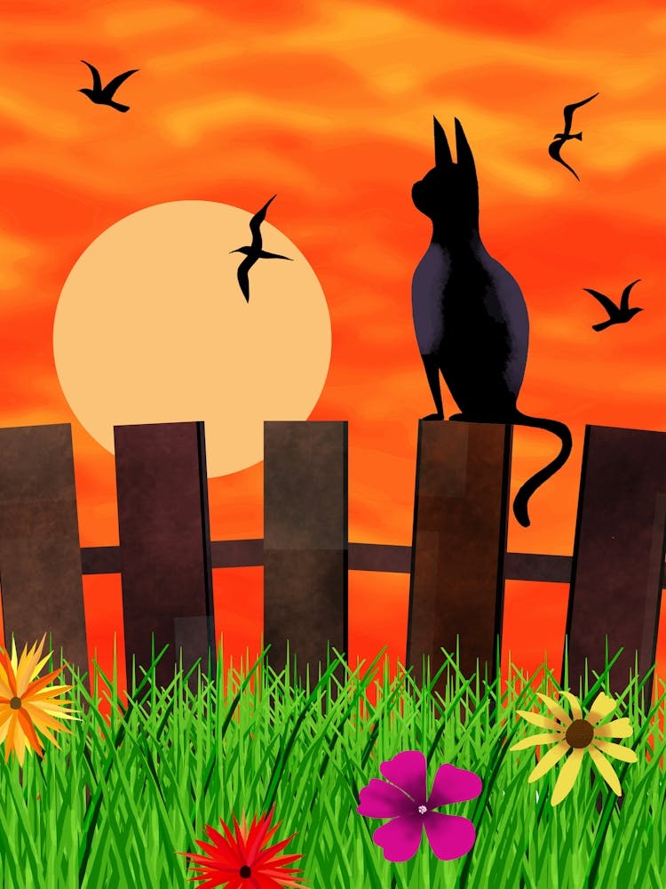 Watching the Sunrise