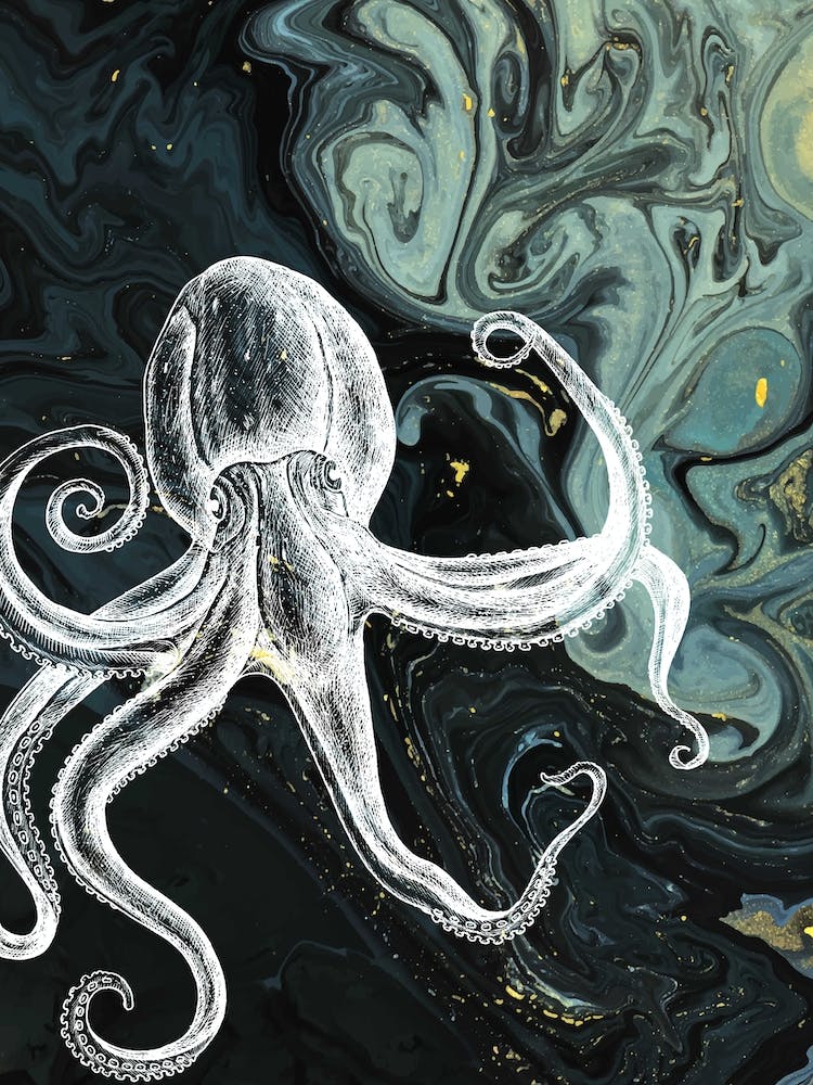 Under Water Wonders Octopus Black & Green