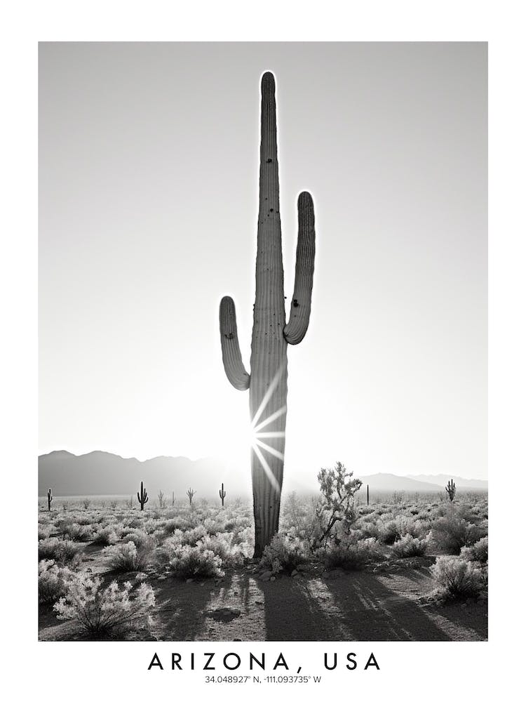 Poster Of Arizona, Usa, Black And White Analogue Photograph 2