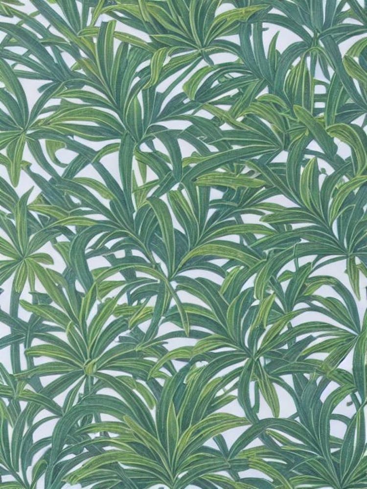 Radiata Pine tree Vintage Botanical