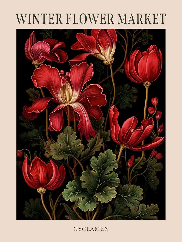 Cyclamen 1 Winter Flower Market Poster