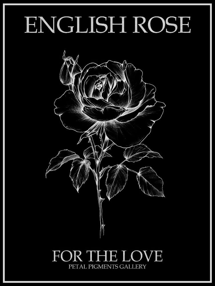 English Rose Black And White Line Drawing 1 Poster Inverted