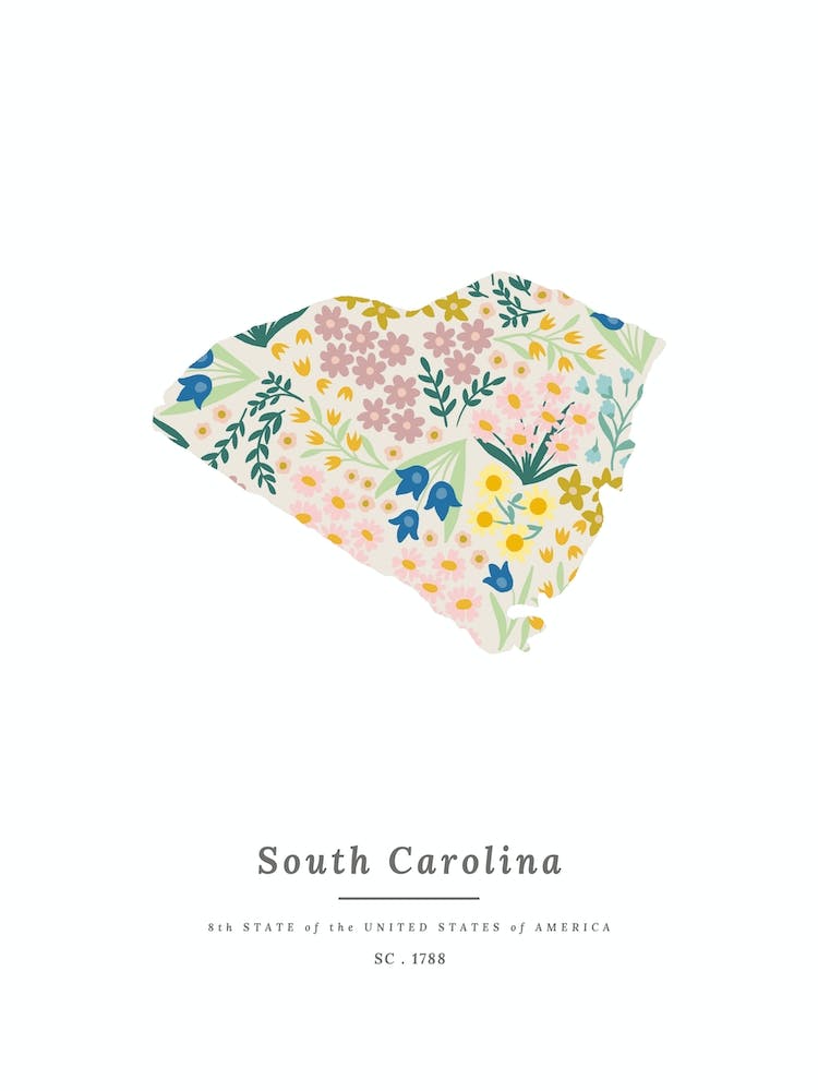 South Carolina | Wildflower Mix