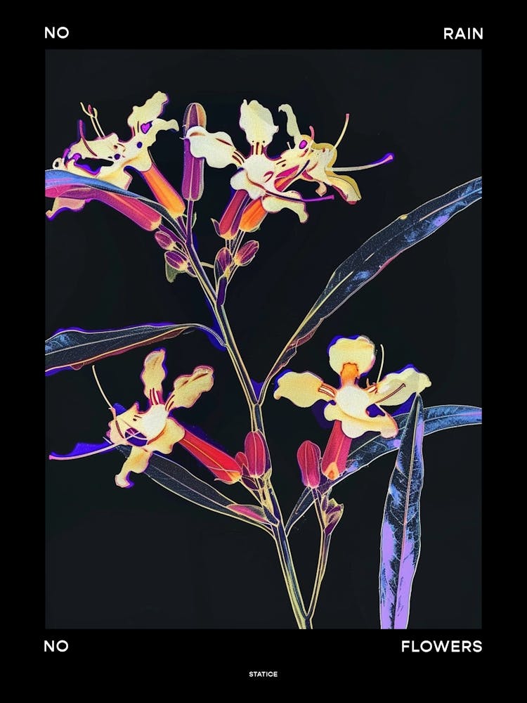 No Rain No Flowers Poster Statice 1