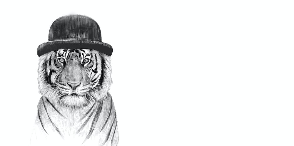 Welcome to the Jungle
