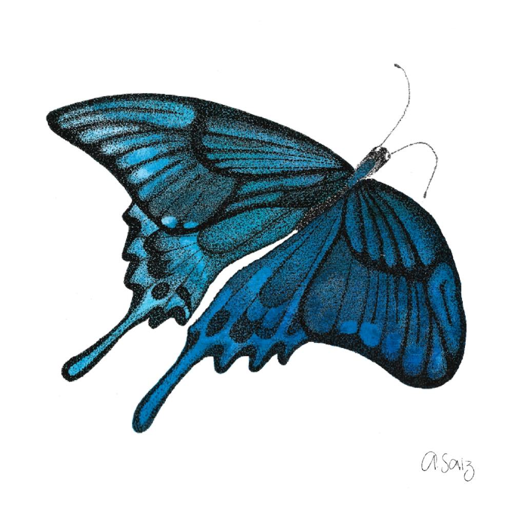 Blue Butterfly. 1