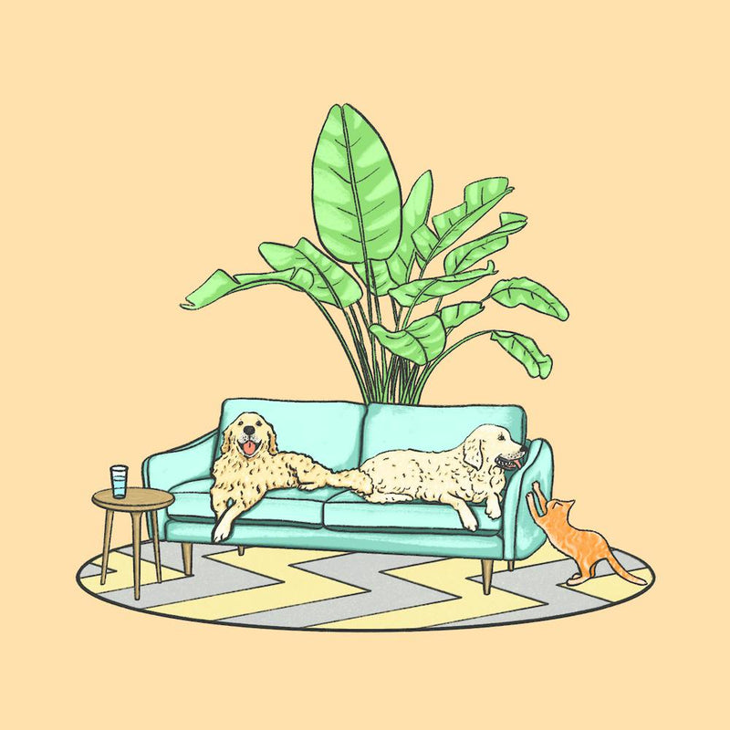 Retrievers And Cat 16x16