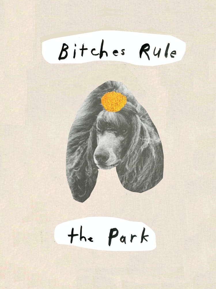 Bitches Rule Poodle Dog Collage with Lettering