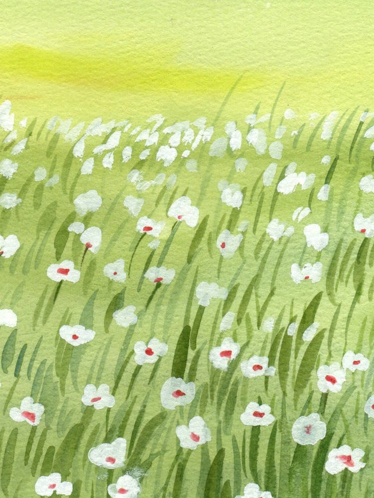 Field Of White Flowers
