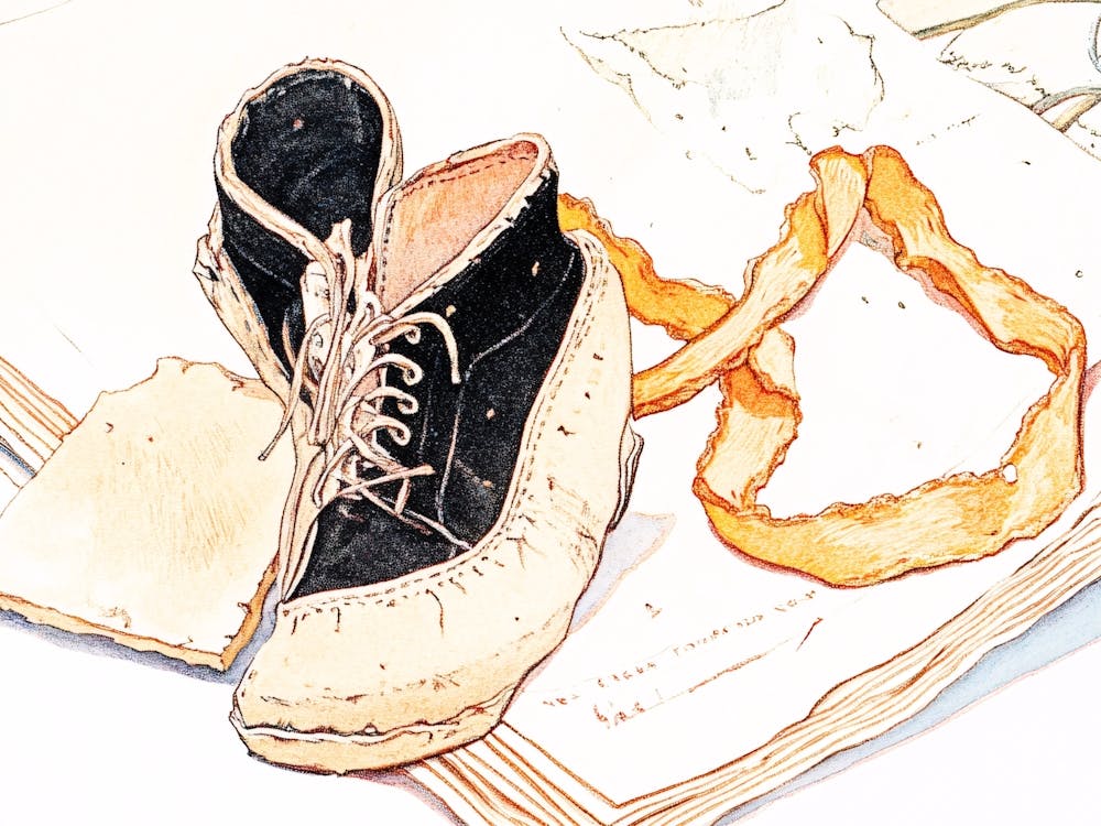 Pair Of Shoes 1