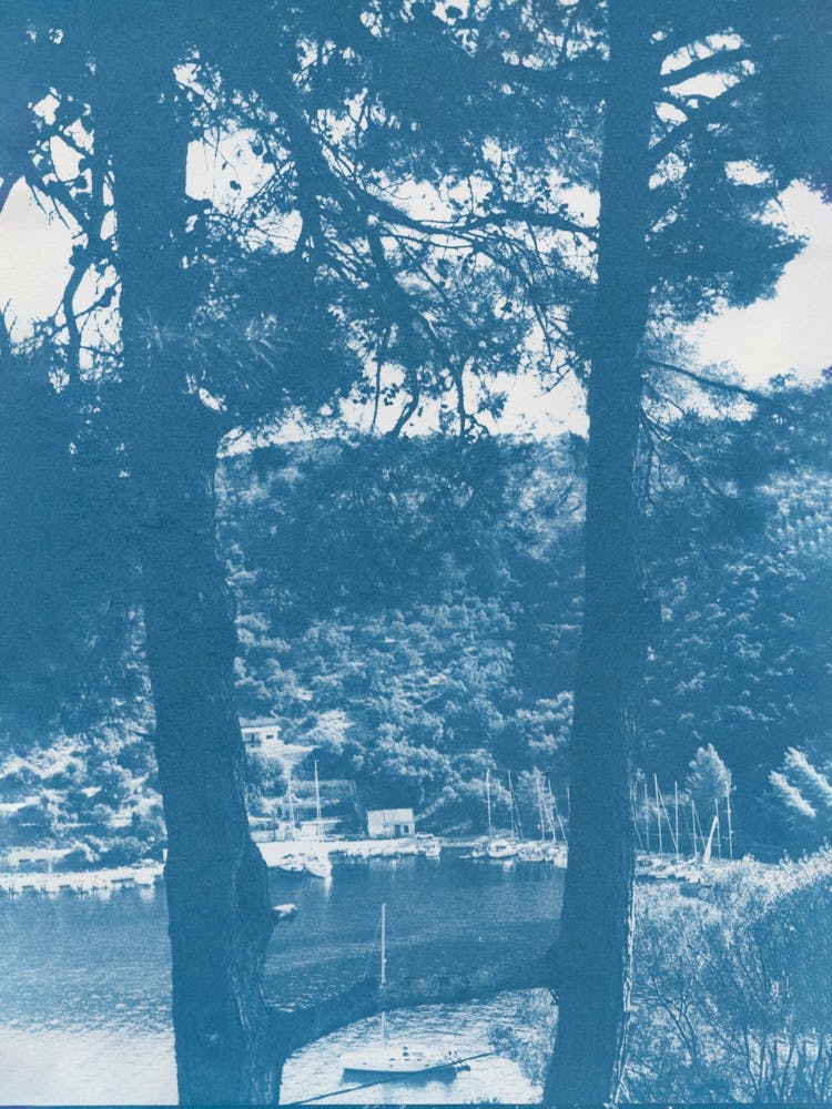 View between the trees holding hands