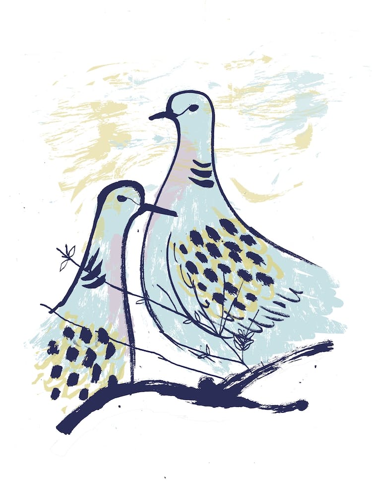 Turtle Doves