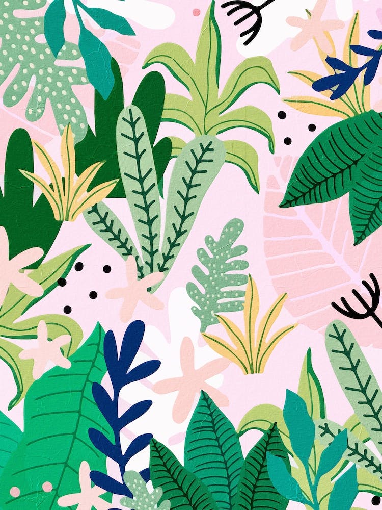 Colorful Plants
