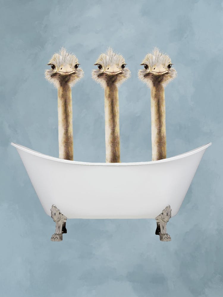 Ostriches In Bathtub Bathroom