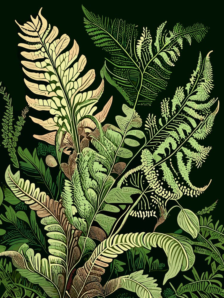 Bracken Fern Wildflower Vintage Botanical 1