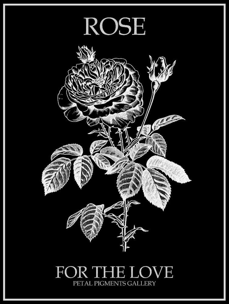 Black And White Rose Line Drawing 11 Poster Inverted